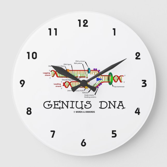 Relógio Grande Genius DNA Biologia Molecular Humor (Frente)