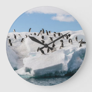 Relógio Grande Gentoo Penguin Antártica Iceberg Playtime