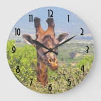 Girafa Adorável Apontando Sua Cabeça Acima Das Árv