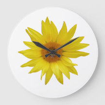 Girassol Amarelo-Claro