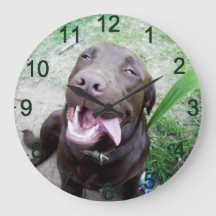 Relógio Grande Goofy Delights: Chocolate Brown Labrador Puppy,