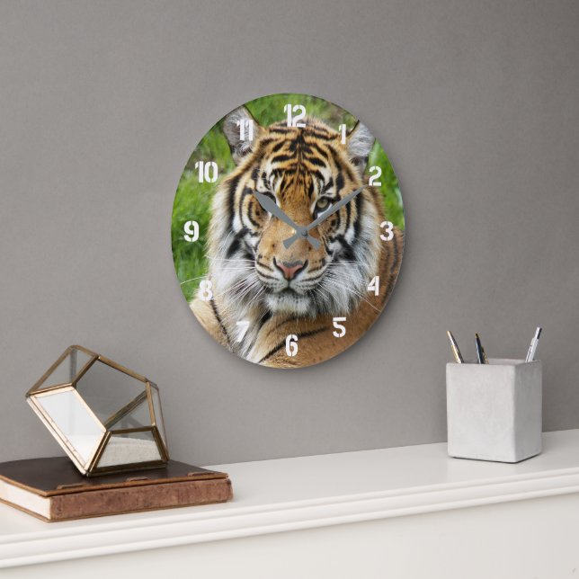 Relógio Grande Grande Felino Tigre de Sumatra Foto (Escritório)