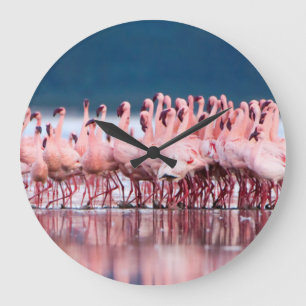 Relógio Grande Grande grupo de poucos flamingos