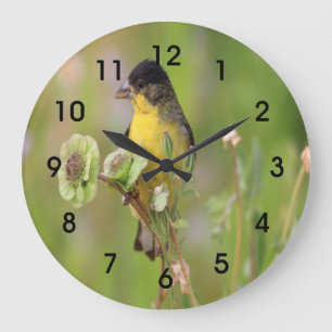 Relógio Grande Homem Goldfinch pregado nas flores