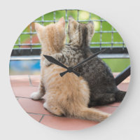 Imagens de Getty | dois gatinhos em um balcão