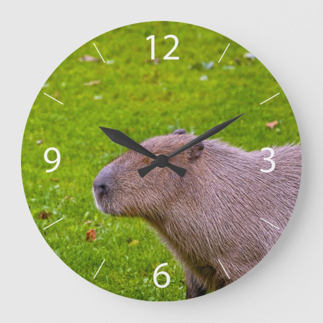 Relógio Grande Incrível Animal Capivara (Frente)