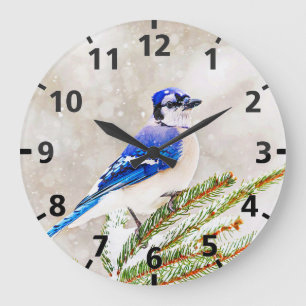 Relógio Grande Jay azul em um pinheiro com neve