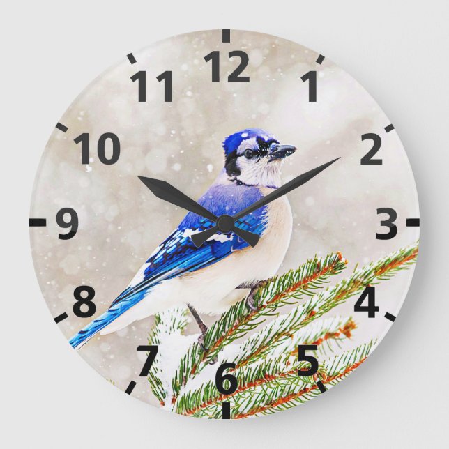 Relógio Grande Jay azul em um pinheiro com neve (Frente)