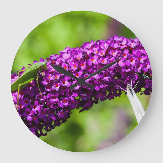 Relógio Grande katydid energy (Frente)