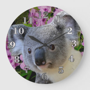 Relógio Grande Koala e orquídeas
