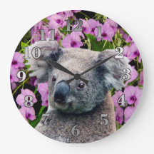 Koala e Orquídeas