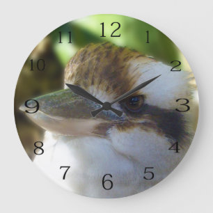 Relógio Grande Kookaburra australiano fecha-se,