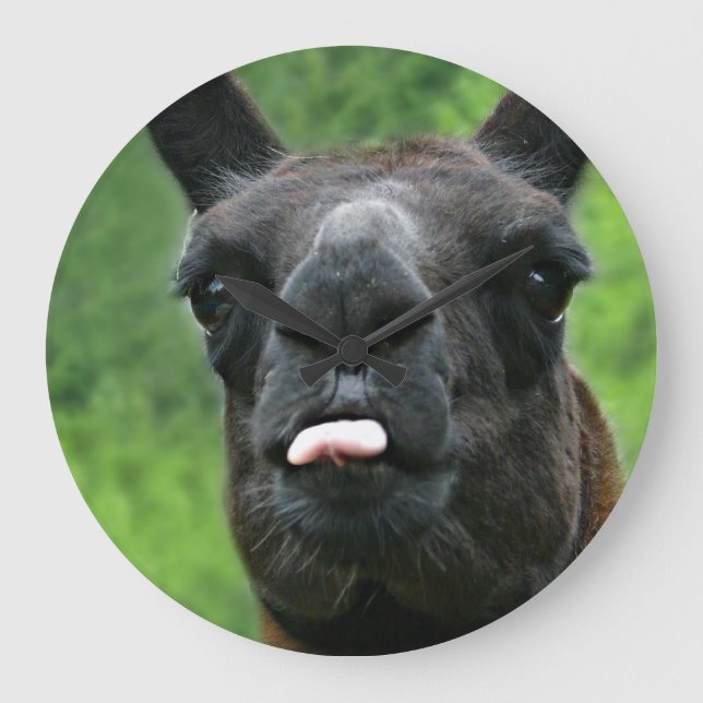 Relógio Grande Lama engraçado com atitude principal & a língua (Frente)