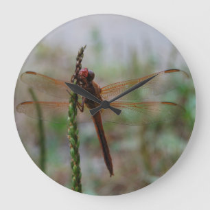 Relógio Grande Libélula cardinal de Meadowhawk