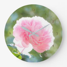 Linda Flor Rosa de Pedônia à Luz do Sol