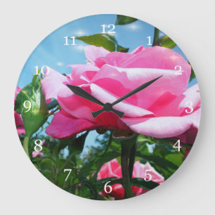 Relógio Grande Linda rosa cor-de-rosa no céu azul. Fotografia flo