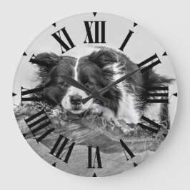 Relógio Grande Lindo Cão Border Collie