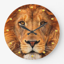 Lion Magnificent Cabeça Belamente Regal