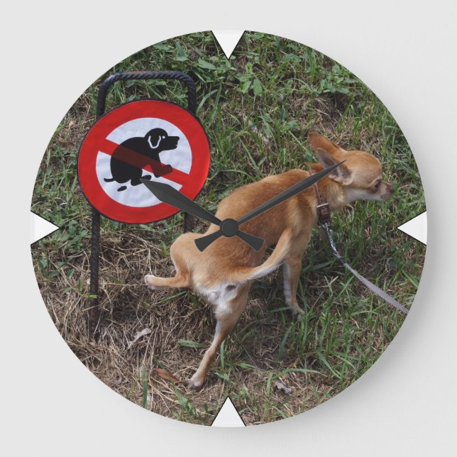 Relógio Grande Little Rebel (Frente)