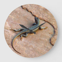 Lizard