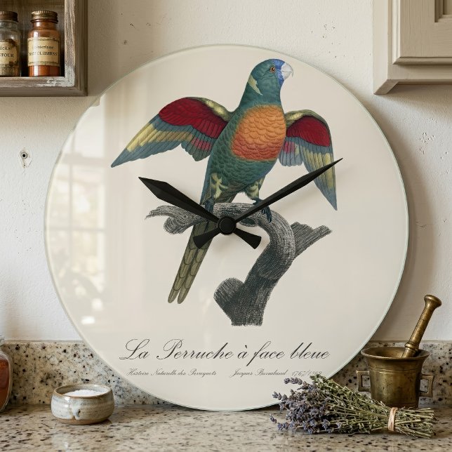 Relógio Grande Loriqueito-verde, Trichoglossus haematodus (Coconut Lorikeet, Trichoglossus haematodus. Large Clock)