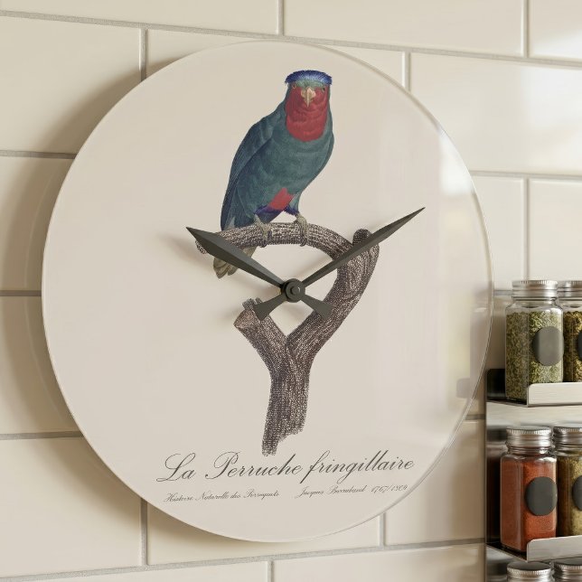 Relógio Grande Loriqueut de Coroa Azul, Vini Australis (Blue-Crowned Lorikeet, Vini Australis. Large Clock)