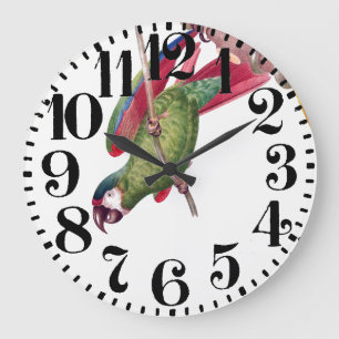 Relógio Grande Macaw Tropical Parrot Bird Big Number Wall Clock