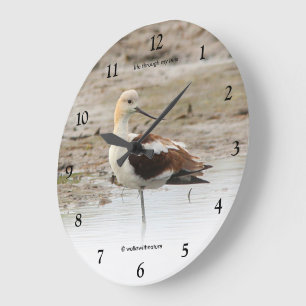 Relógio Grande Magnífico Pássaro Americano Avocet Vadeando na Pra