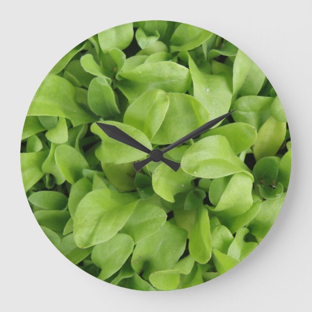 Relógio Grande Marigold Seedlings Wall Clock (Frente)