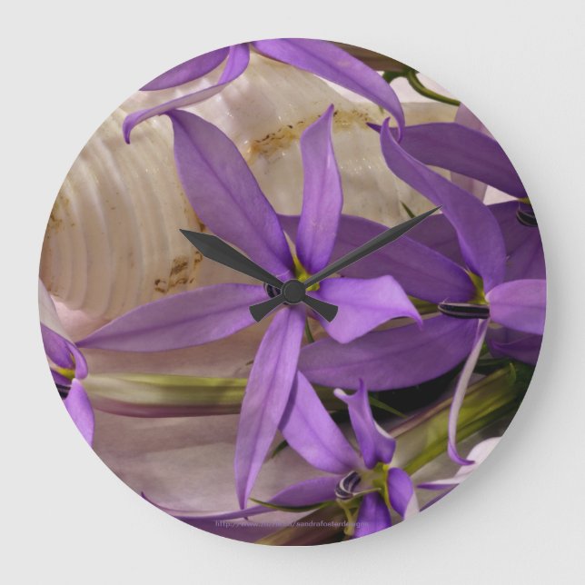 Relógio Grande Mauve Starshine Laurentia (Frente)