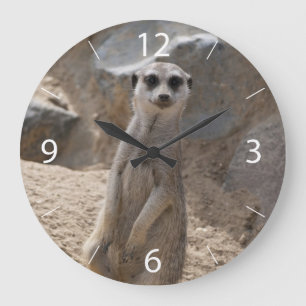 Relógio Grande Meerkat Incrível