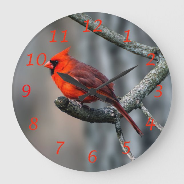 Relógio Grande Norte Cardinal Pássaro Wall Clock (Frente)