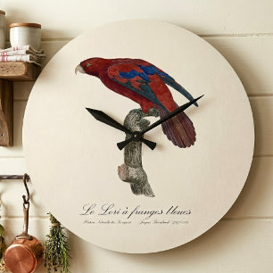 Relógio Grande O Lori de testa azul 