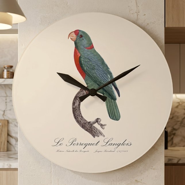 Relógio Grande O Papagaio Langlois de Jacques Barraband (Le Perroquet Langlois by Jacques Barraband. Large Clock)
