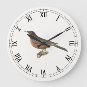 Relógio Grande O Robin Americano (Turdus migratorius) NY Birds