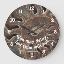 O Tempo De Fotografia Fóssil Ammonite Não Atrasará