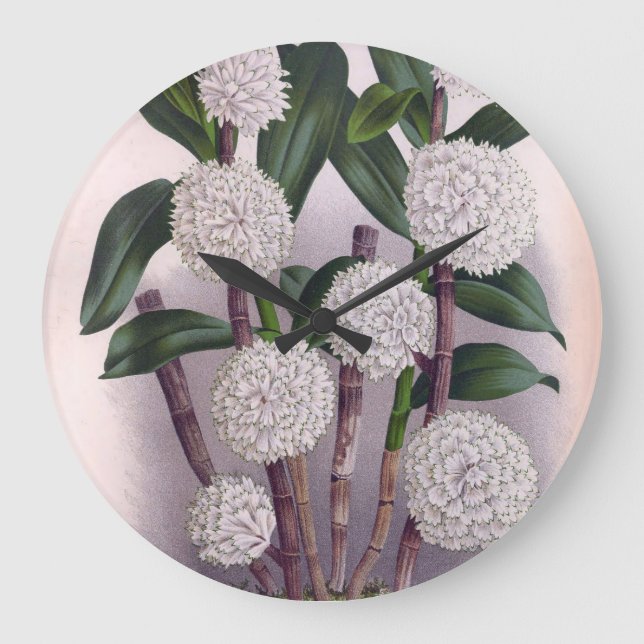 Relógio Grande Orquídea Branca Vintage Dendrobrium Purpurem (Frente)