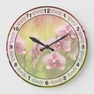 Relógio Grande Orquídea - Phalaenopsis - Simplesmente um deleite