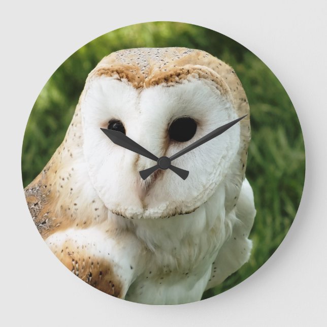 RELÓGIO GRANDE OWLS (Frente)