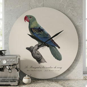 Relógio Grande Papagaio de bico cor de sangue / Papagaio de bico 