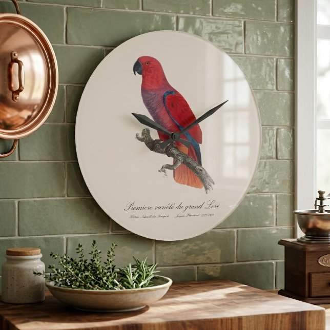 Relógio Grande Papagaio Eclectus de Vosmaer, Eclectus Roratus Vos (Vosmaer Eclectus Parrot, Eclectus Roratus Vosmaeri. Large Clock)