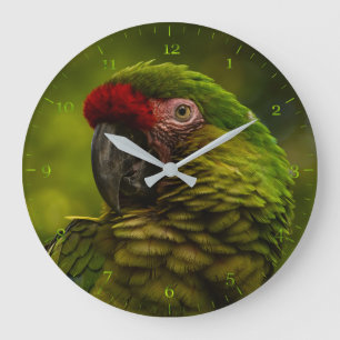 Relógio Grande Papagaio verde-Macaw
