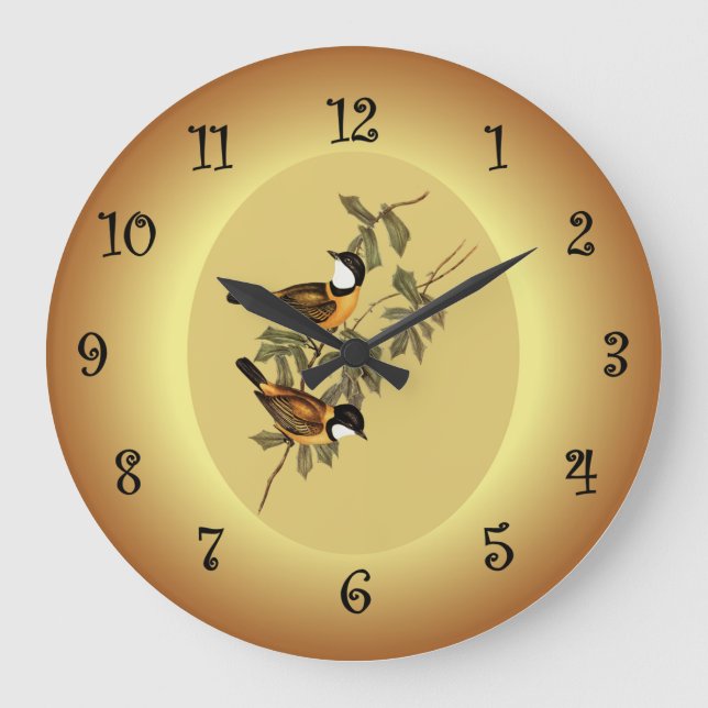 Relógio Grande Paquicéfala de cauda negra ~ Elizabeth Gould 102 ~ (Frente)