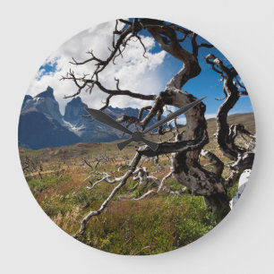 Relógio Grande Parque Nacional Torres del Paine, árvores danific