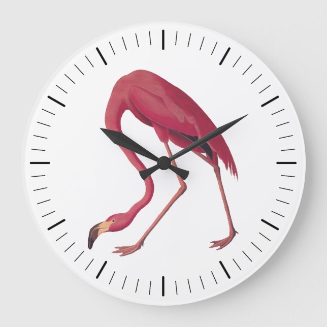 Relógio Grande Pássaro de Arte Cinzento Americano Flamingo Audubo (Frente)