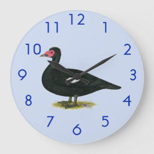 Relógio Grande Pato-negro-de-muscovy
