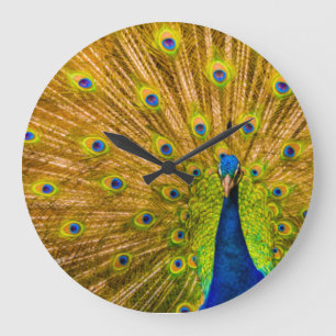 Relógio Grande Pavão, Silver Falls, Kauai, Havaí