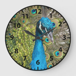 Relógio Grande Peacock Pássaros Clock