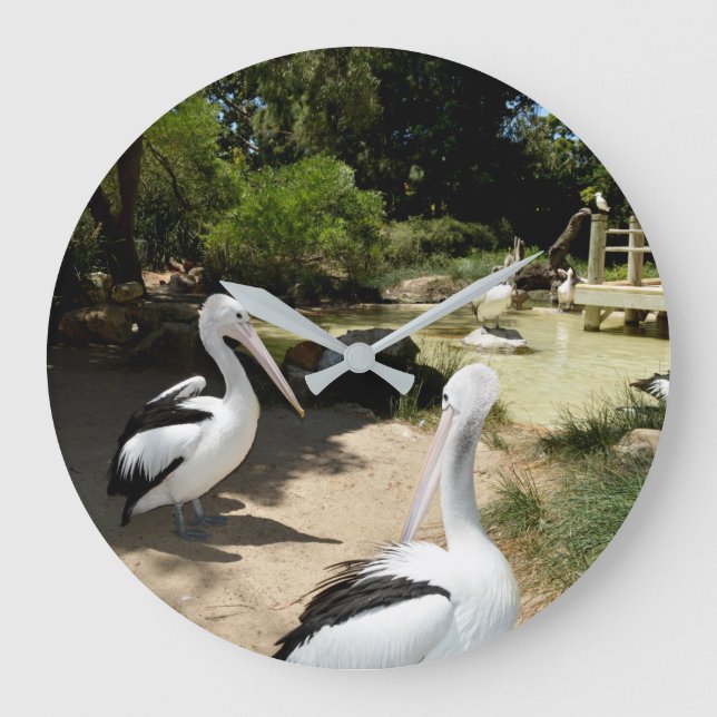 Relógio Grande Pelican Sanctuary, Wall Clock (Frente)