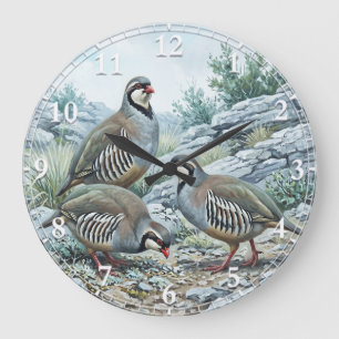 Relógio Grande Perdiz-grega, Alectoris Graeca Aves de Caça